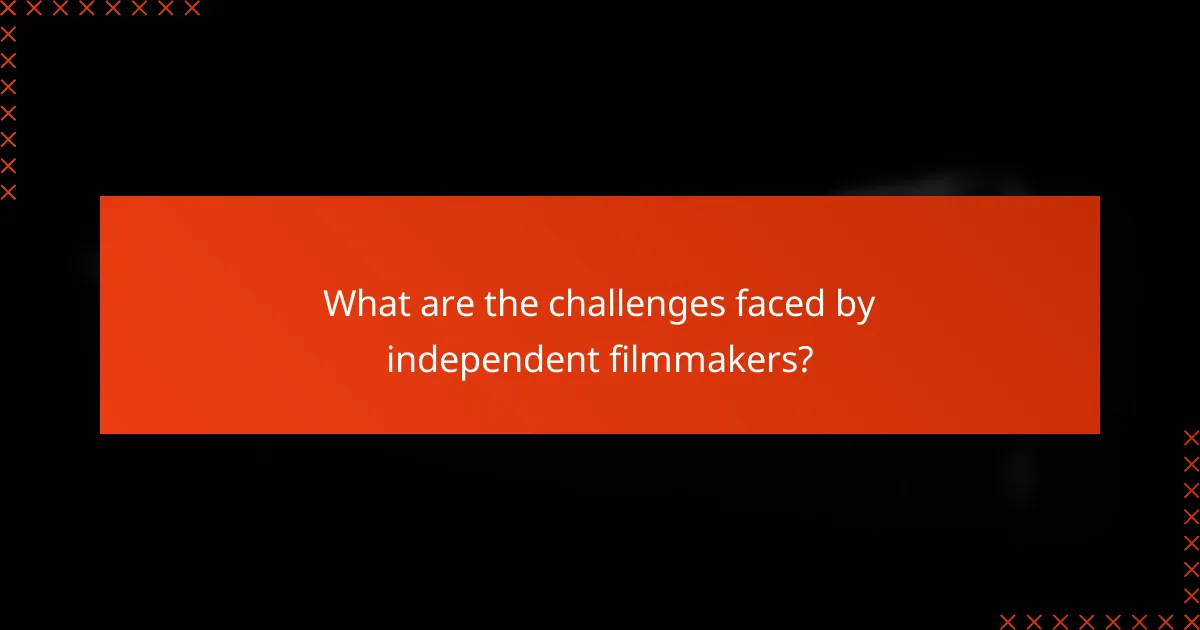 What are the challenges faced by independent filmmakers?